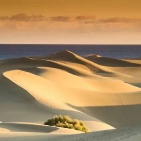 Pool View Yard Сasa de vacaciones